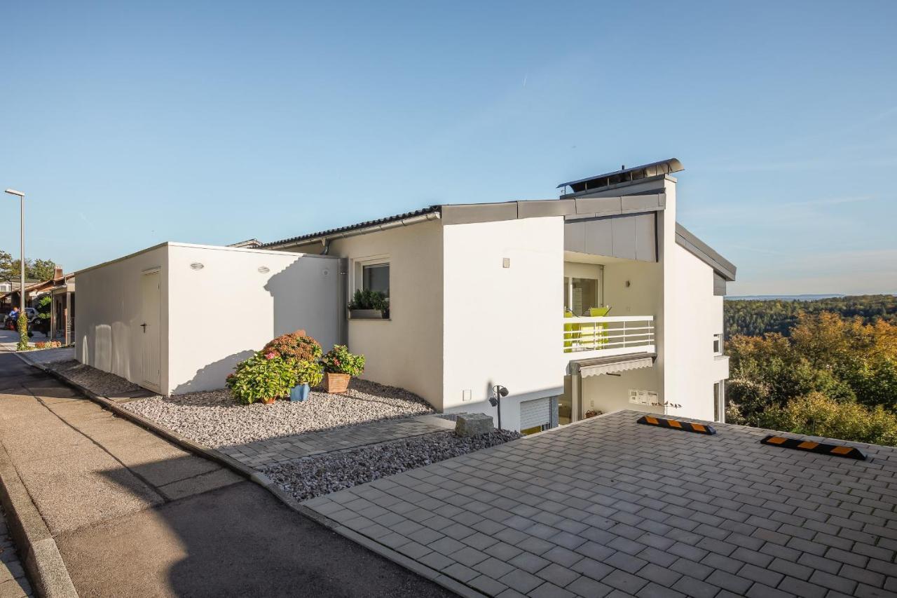 Designapartment Vitibuck Waldshut-Tiengen Dış mekan fotoğraf